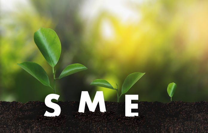 Growing Savings business SME or Small and medium-sized enterprises Computing Computer