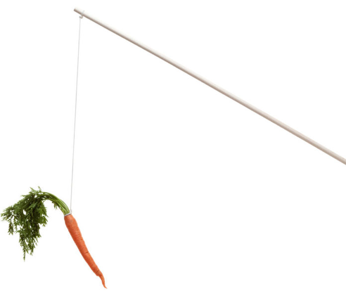 Carrot hanging on the end of an angled stick