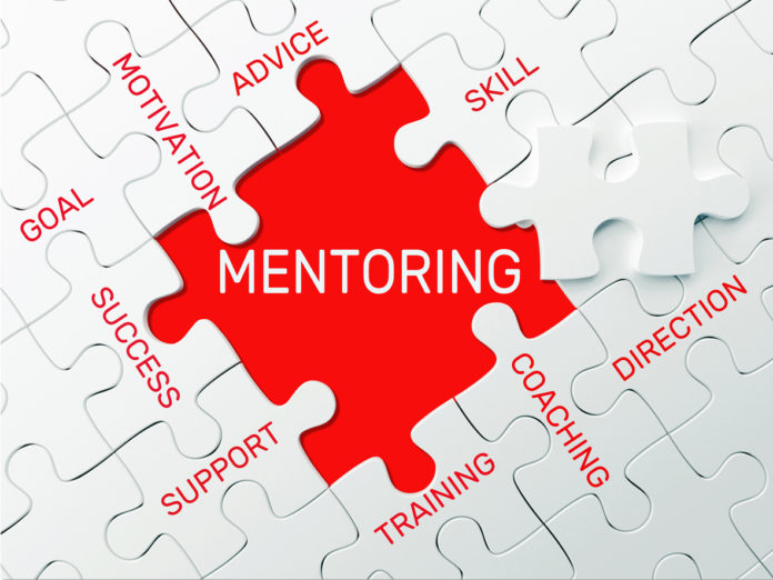 MENTORING - PUZZLE CONCEPT