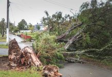 Premium Relief for Weather-Affected Customers